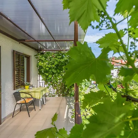 Apartman Katana *