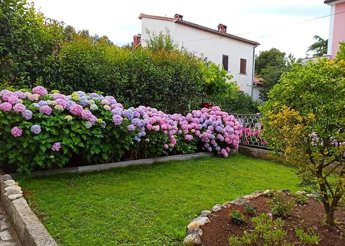 Διαμέρισμα Katana